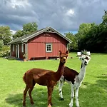بيت للعطل Enchanting With Alpacas In *