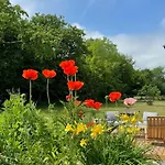 Enchanting With Alpacas In بيت للعطل