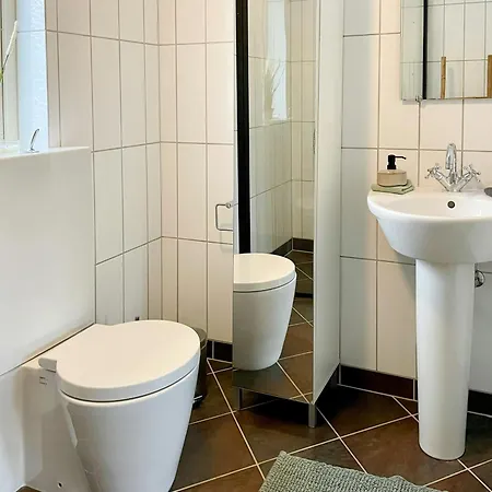 Enchanting With Alpacas In * Lundeborg