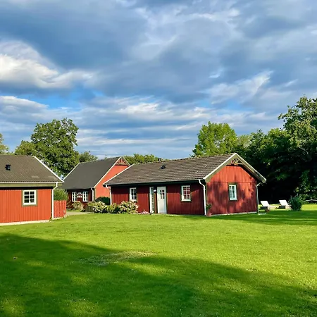 Enchanting With Alpacas In *