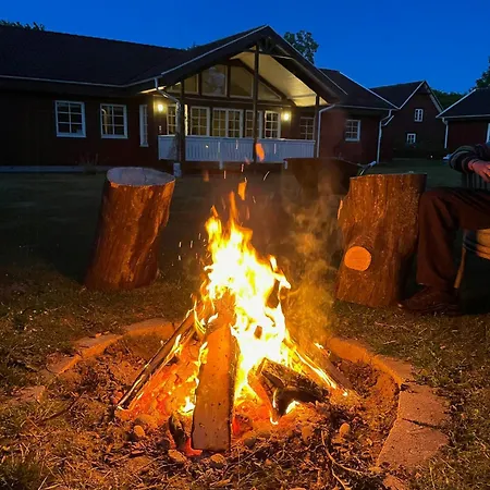 Enchanting With Alpacas In Lundeborg