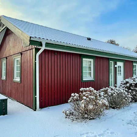 Enchanting With Alpacas In Casa de Férias *