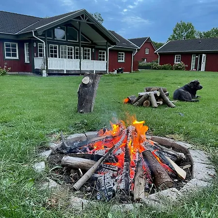 Enchanting With Alpacas In *