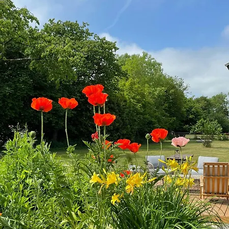 Enchanting With Alpacas In Ferienhaus