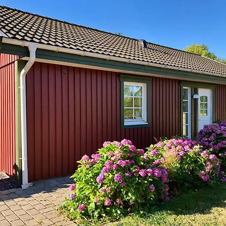 Enchanting With Alpacas In Сasa de vacaciones