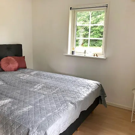 Enchanting With Alpacas In Ferienhaus