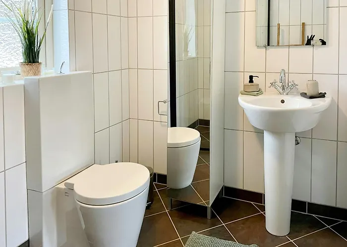 Enchanting With Alpacas In * Lundeborg