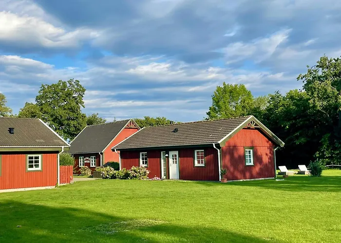 Enchanting With Alpacas In *