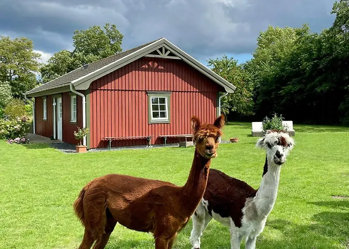 Сasa de vacaciones Enchanting With Alpacas In *