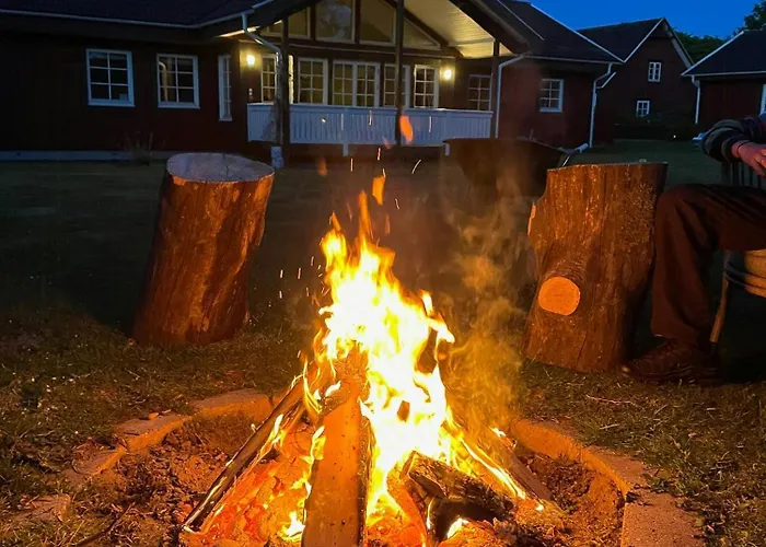 Enchanting With Alpacas In Lundeborg