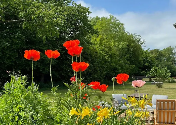 Enchanting With Alpacas In Сasa de vacaciones