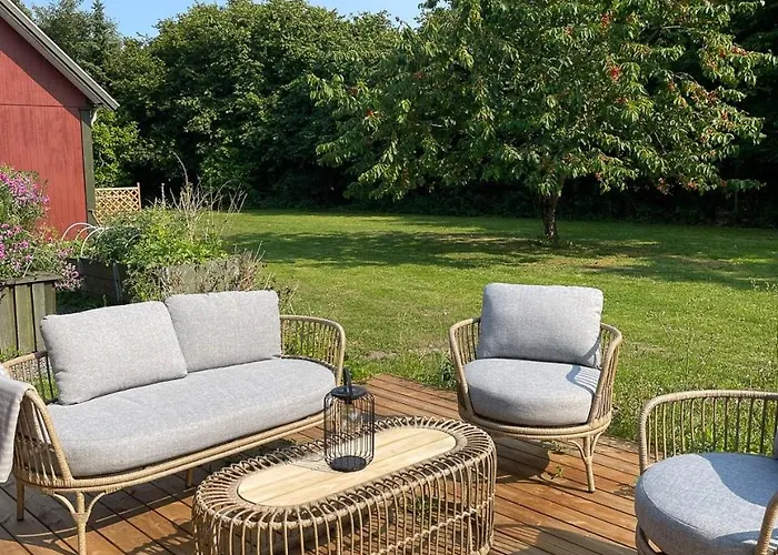 Enchanting With Alpacas In