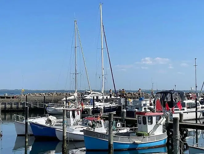 Сasa de vacaciones Enchanting With Alpacas In